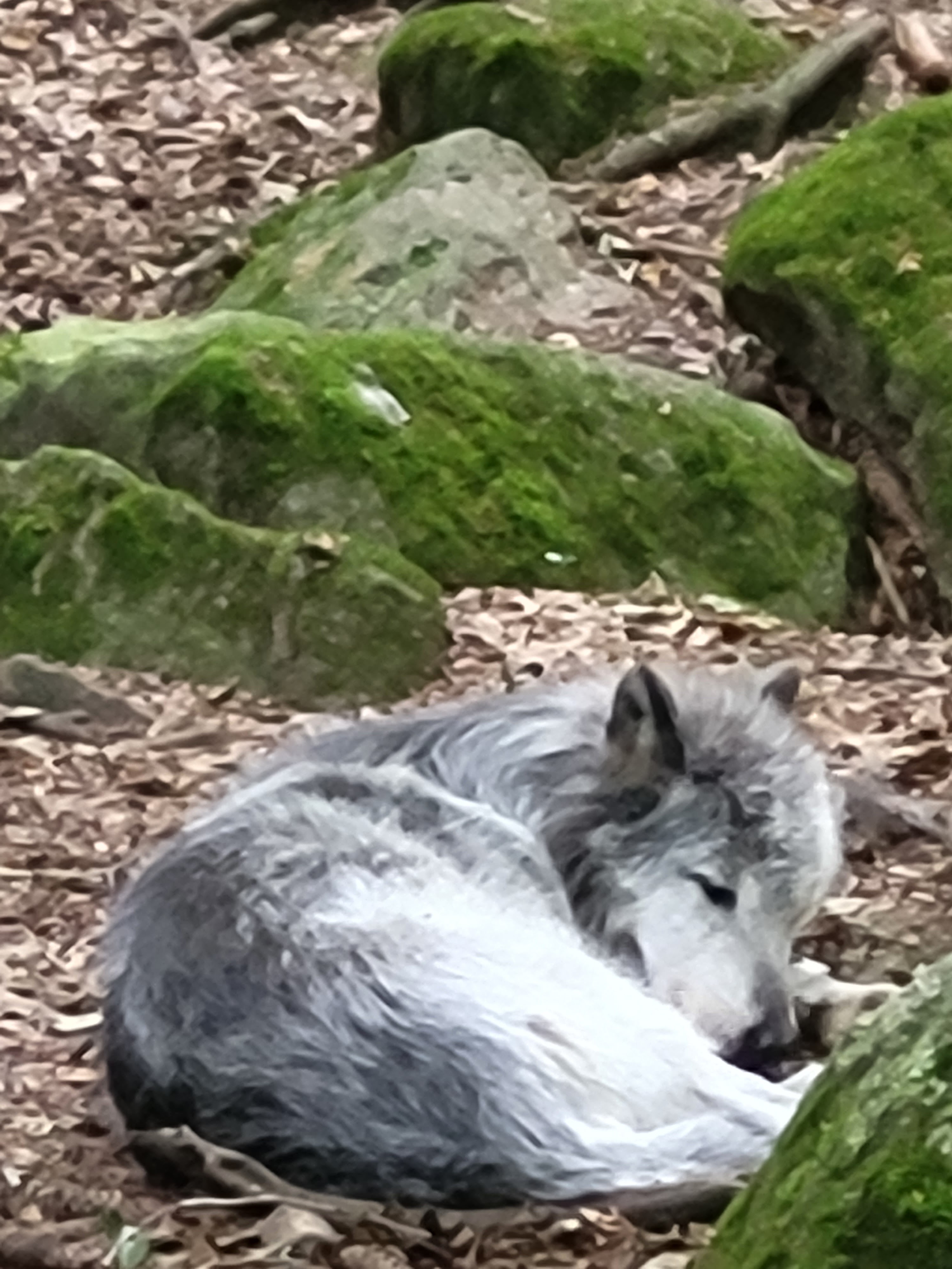 Photo n° 1 de l'avis de David.e fait le 18/07/2023 à 17:29