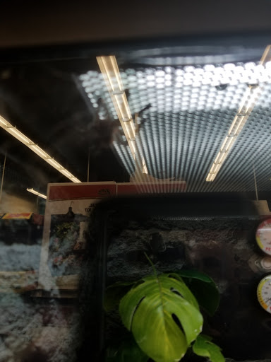 Pet Supply Store «Petco Animal Supplies», reviews and photos, 1680 Campbell Ln, Bowling Green, KY 42104, USA