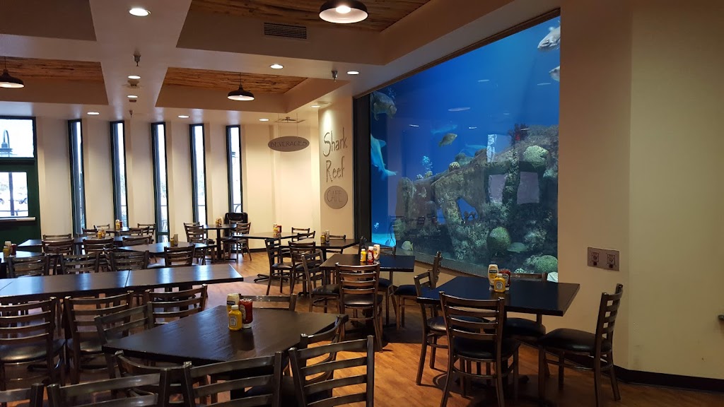 Shark Reef Cafe 87104