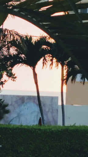 Bar «Beach Box Cafe», reviews and photos, 9020 Gulf Shore Dr, Naples, FL 34108, USA