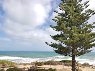 Chiton Rocks SLSC