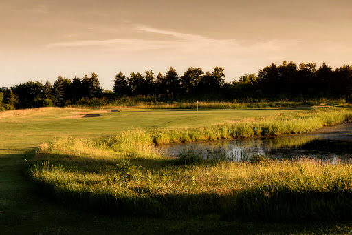 Public Golf Course «Maple Meadows Golf Club», reviews and photos, 272 Addison Rd, Wood Dale, IL 60191, USA