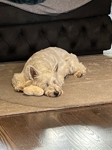 280 Daines St, Birmingham, MI 48009, USA