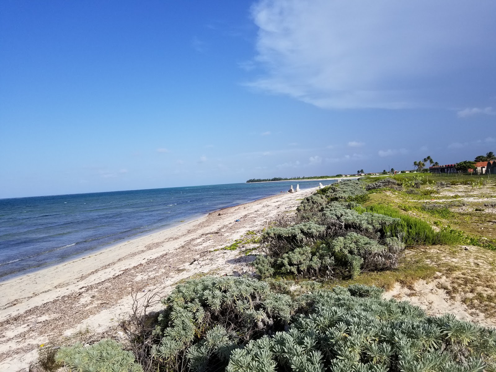 Playa Punta De Ganado的照片 带有长直海岸