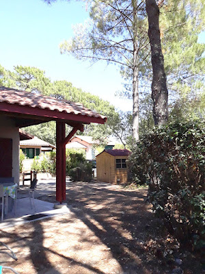 Ma location sous les pins à Moliets à Moliets-et-Maa