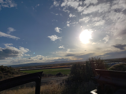 Land O'Lakes Purina Feed