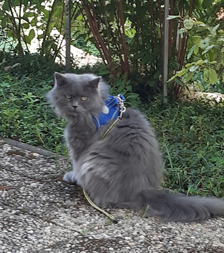 Kleintierpraxis Bad Abbach unter Bad Abbach, Bayern