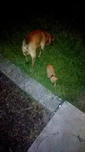 Pet Supply Store «Blue Parkway Bait & Pet Supplies», reviews and photos, 6921 Blue Pkwy, Kansas City, MO 64129, USA