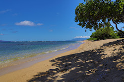 Murphy Beach'in fotoğrafı vahşi alan