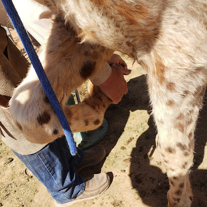 Matthew's Farrier Service