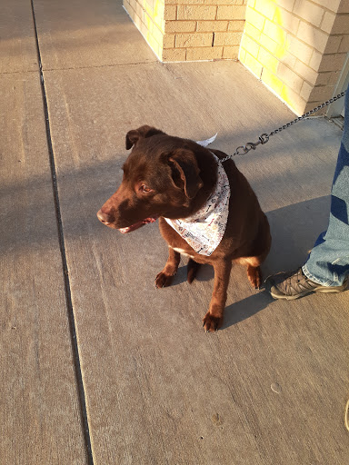 Pet Supply Store «Petco Animal Supplies», reviews and photos, 298 Spring Creek Drive, Franklin, TN 37067, USA