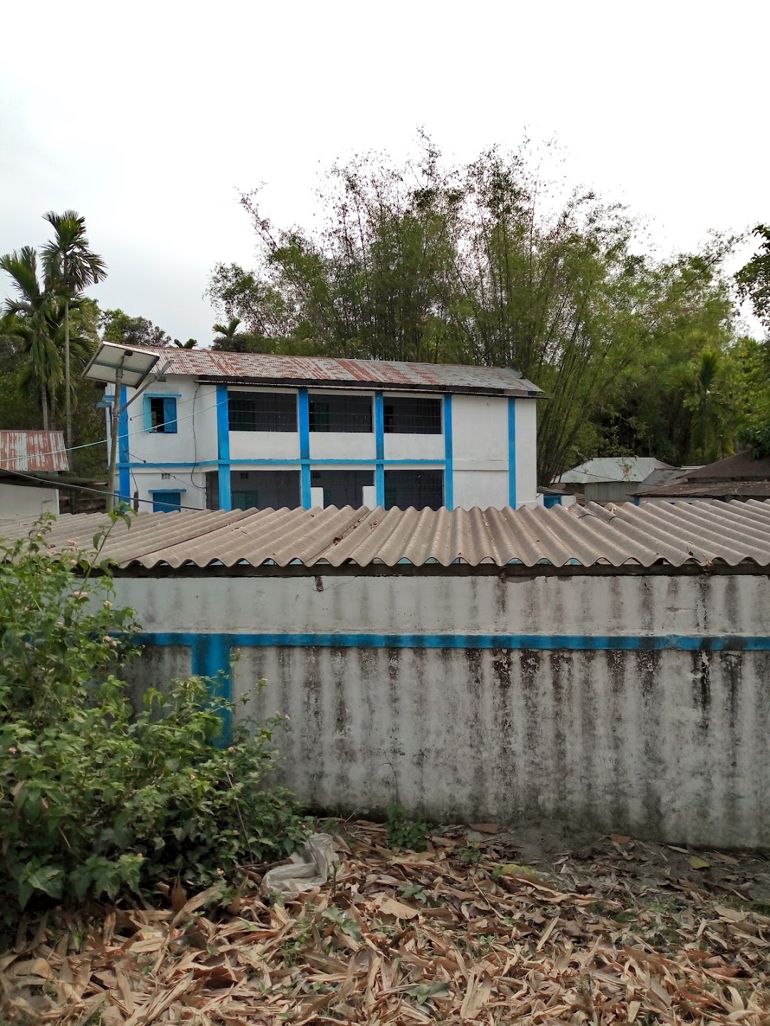 Bibiganj Junior Basic School