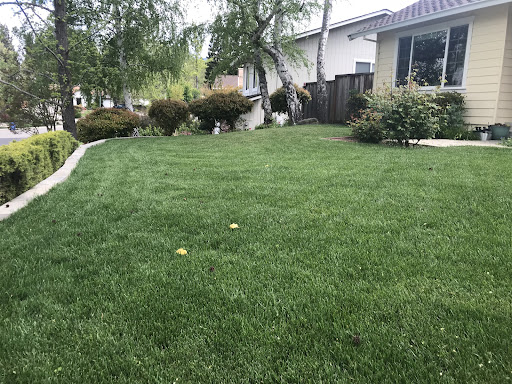 Sod and Seed, Inc.