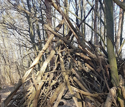 Volkspark Marienberg photo