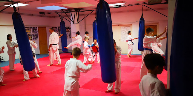 Hozzászólások és értékelések az Magyar Shinkyokushin Karate Szervezet Kálóczi Branch-ról
