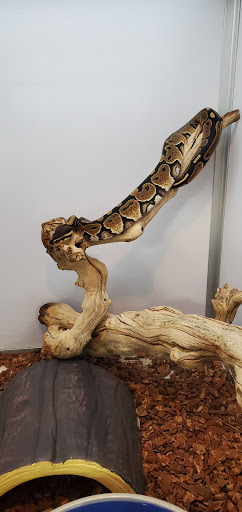 Pet Supply Store «Pet Supermarket, Inc.», reviews and photos, 1052 Peachtree Industrial Blvd, Suwanee, GA 30024, USA