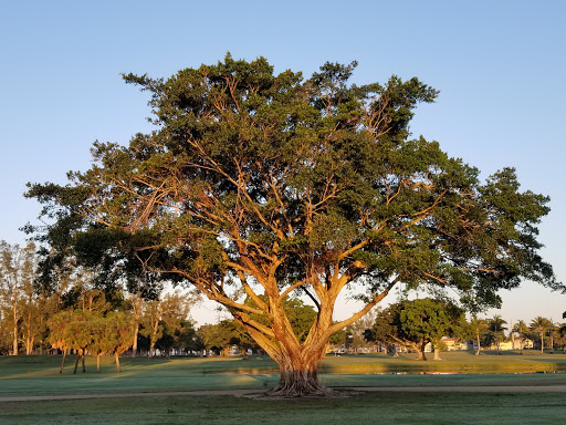 Condominium Complex «Hollybrook Golf and Tennis Club», reviews and photos, 900 Hollybrook Dr, Pembroke Pines, FL 33025, USA