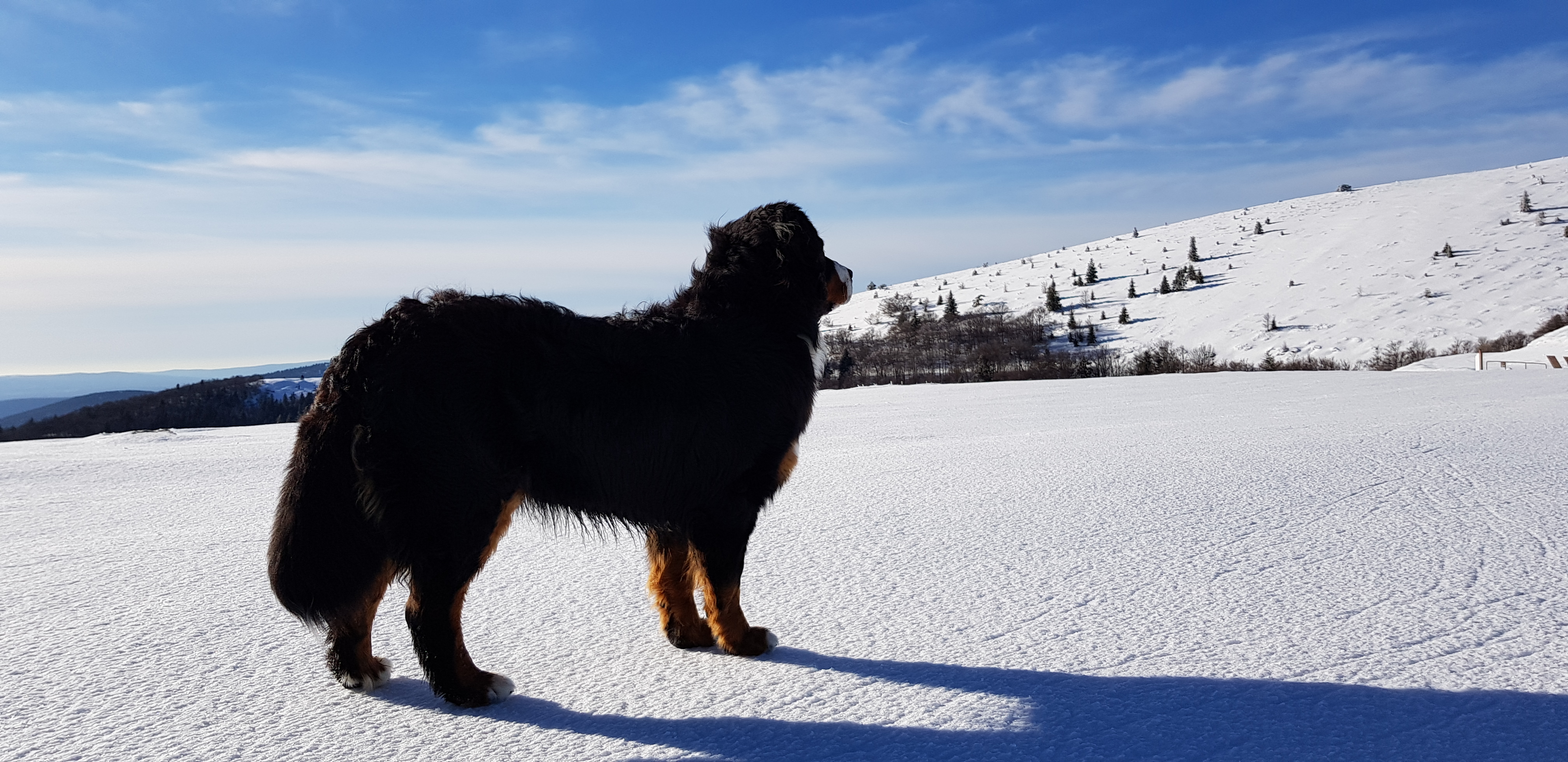 Photo n° 1 de l'avis de Joe.o fait le 04/02/2019 à 22:04