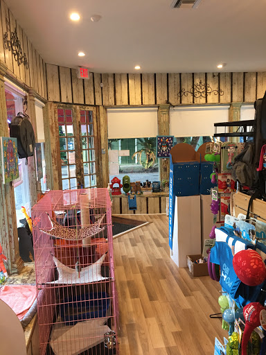 Big Easy Animal Rescue & Pet Shop