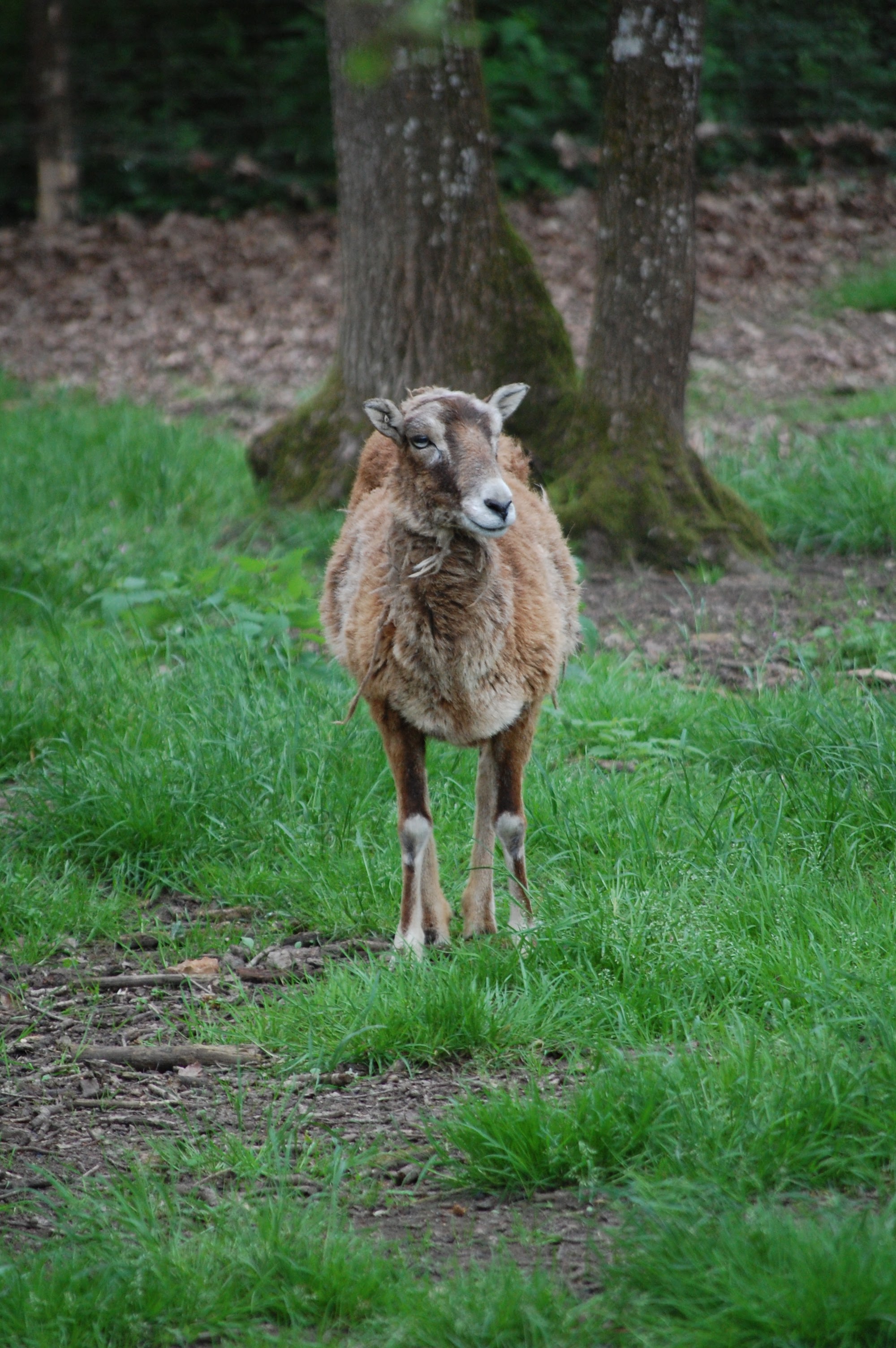 Photo n° 2 de l'avis de Raphaël.e fait le 16/05/2023 à 16:57