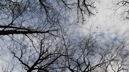 National Park «Chattahoochee River National Recreation Area - Allenbrook Unit», reviews and photos, 227 S Atlanta St, Roswell, GA 30075, USA