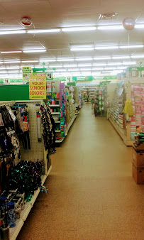 Dollar Tree - Photo 5 - Car repair in Greenville, NC, Greenville