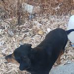 Photo n°1 de l'avis de IV.C fait le 10/07/2022 à 05:21 sur le  Autogrill Campagna Ovest à Campagna