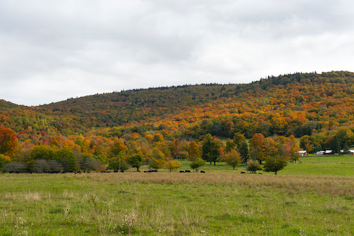 Canaan Valley National Wildlife Refuge