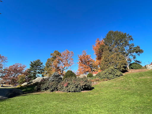 Art Museum «deCordova Sculpture Park and Museum», reviews and photos, 51 Sandy Pond Rd, Lincoln, MA 01773, USA