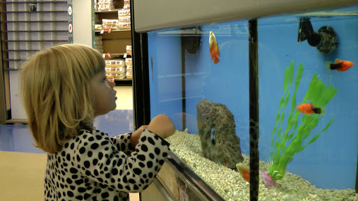 Pet Supply Store «Petco Animal Supplies», reviews and photos, 2823 County Home Rd, Goshen, IN 46526, USA