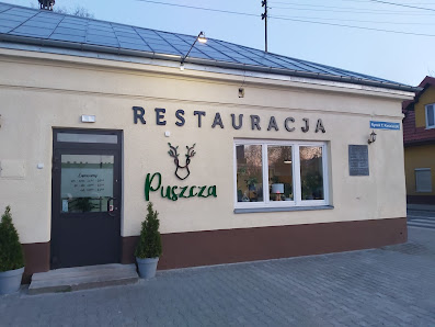 Puszcza Restauracja Rynek Tadeusza Kościuszki 16, 99-417 Bolimów, Polska