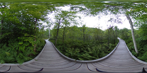 Nature Preserve «Eshqua Bog Natural Area», reviews and photos, Garvin Hill Rd, Woodstock, VT 05091, USA