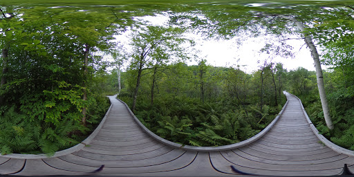 Nature Preserve «Eshqua Bog Natural Area», reviews and photos, Garvin Hill Rd, Woodstock, VT 05091, USA