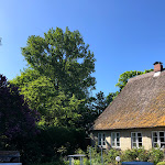 Photo n°3 de l'avis de Tina.a fait le 29/05/2020 à 14:53 sur le  Geeler Krog / Lütt Kaffeestuv à Brodersby-Goltoft