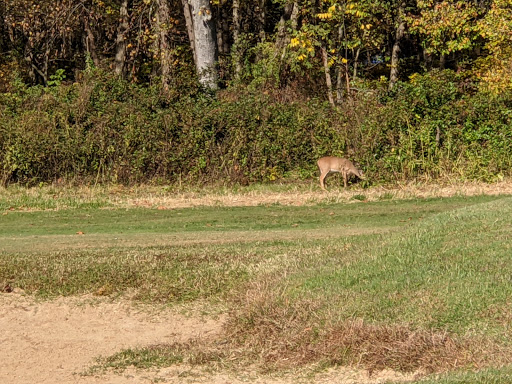 Country Club «Culpeper Country Club», reviews and photos, 2100 Country Club Rd, Culpeper, VA 22701, USA