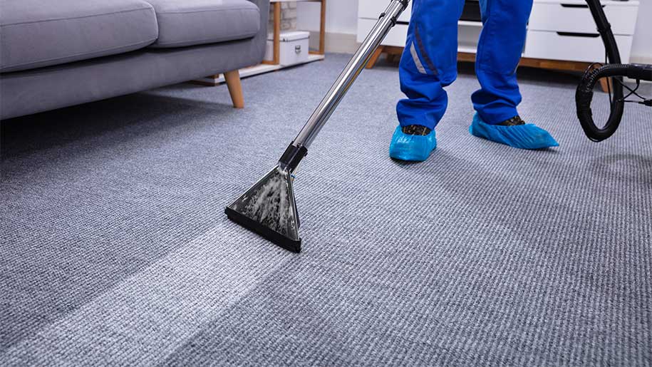 A Greenwise Carpet Cleaning Service