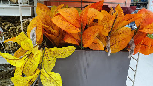 Craft Store «Michaels», reviews and photos, 6745 Camino Arroyo, Gilroy, CA 95020, USA