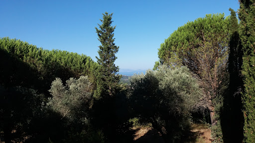 Campeggio La Finoria — photo 4
