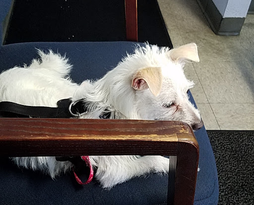 Auto Repair Shop «Jeff Holman Auto Center», reviews and photos, 12230 Trade Center Dr, Jackson, CA 95642, USA