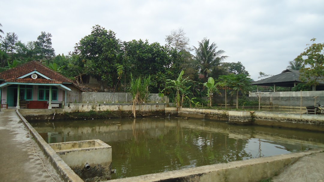 Kolam Jamuga