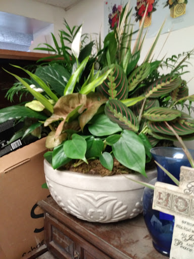 Florist «Minnesota Florist», reviews and photos, 4181 Minnesota Ave NE, Washington, DC 20019, USA