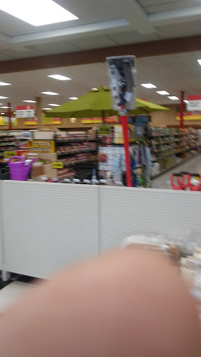 Grocery Store «Grocery Outlet Bargain Market», reviews and photos, 685 W Main St, New Holland, PA 17557, USA