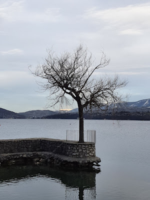 Drivet Bateaux à Le Bourget-du-Lac