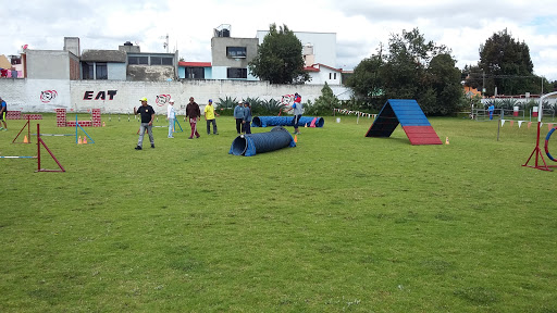 Escuela Agility Toluca