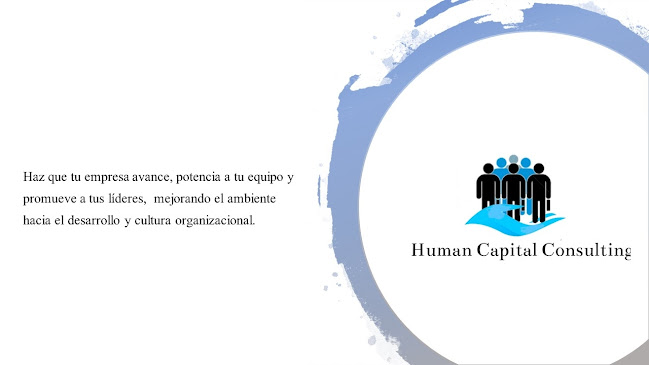 Comentarios y opiniones de Human Capital Consulting SpA
