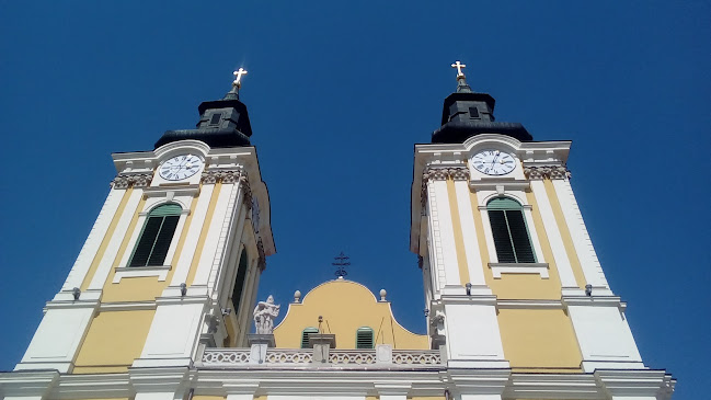 Értékelések erről a helyről: Székesfehérvári Szent István-székesegyház, Székesfehérvár - Templom