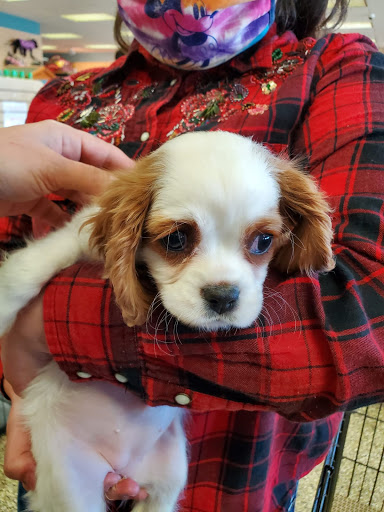 Pet Supply Store «Pet Ranch», reviews and photos, 3823 E 120th Ave, Denver, CO 80233, USA