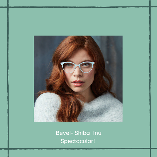 Optician «Spectacular Eyewear», reviews and photos, 436 Woodbury Rd, Plainview, NY 11803, USA