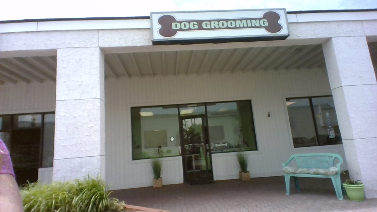 A Green Dog Grooming Salon (RUF 47)
