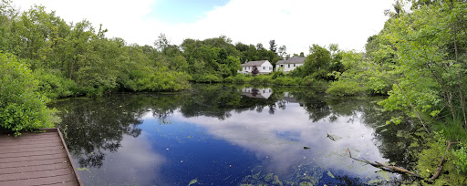 Nature Preserve «Dolan Pond Conservation Area», reviews and photos, Webster Park, West Newton, MA 02465, USA